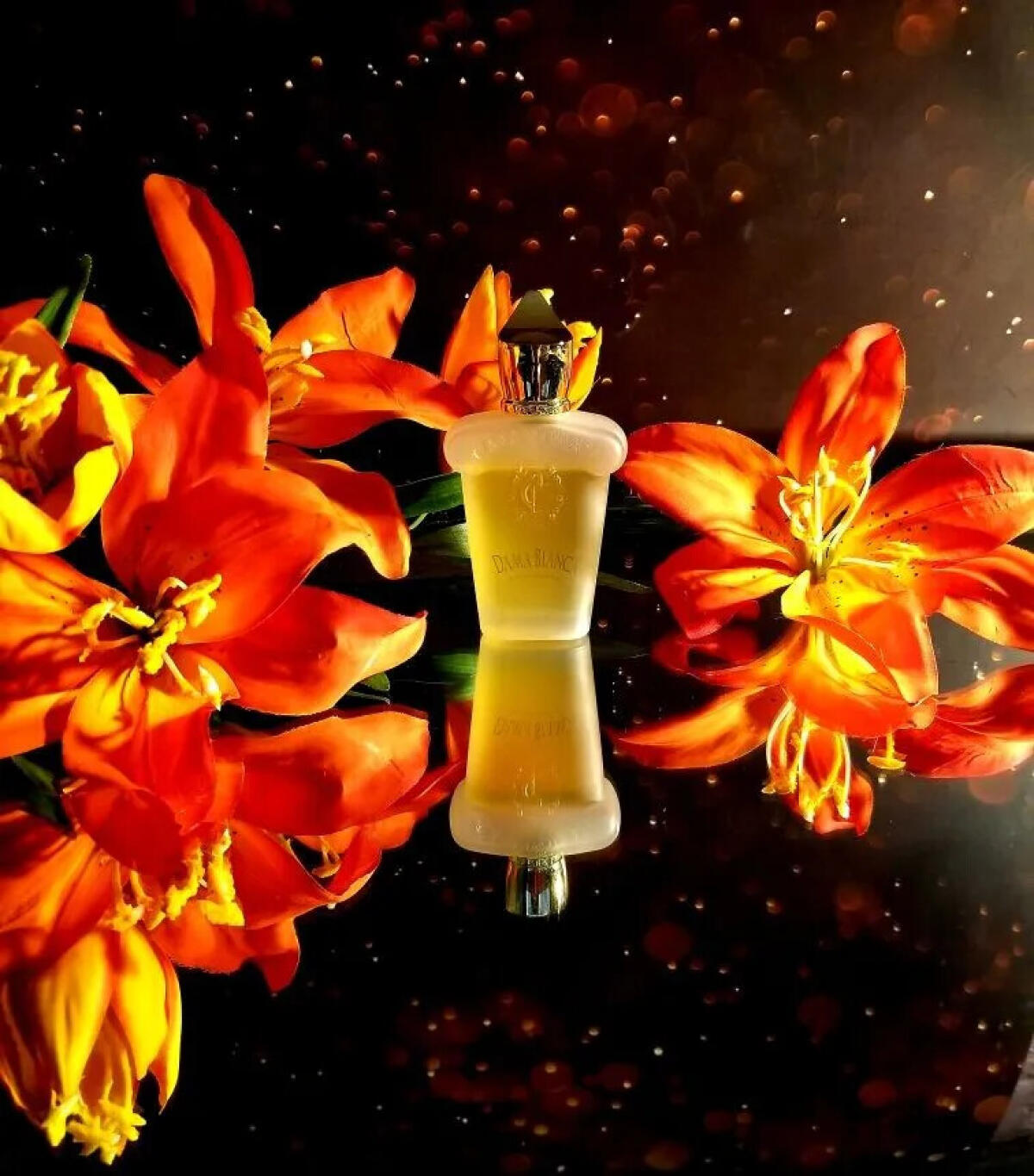 عطر ادکلن داما بیانکا زرجوف - Dama Bianca Xerjoff - بررسی، قیمت و خرید