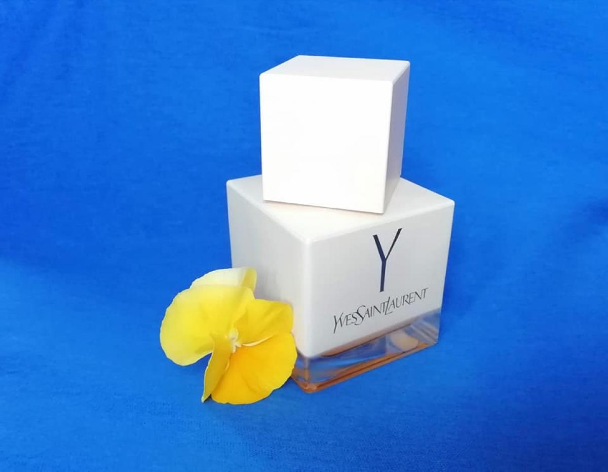 عطر ادکلن لا کالکشن وای ایو سن لورن - La Collection Y Yves Saint Laurent - بررسی، قیمت و خرید