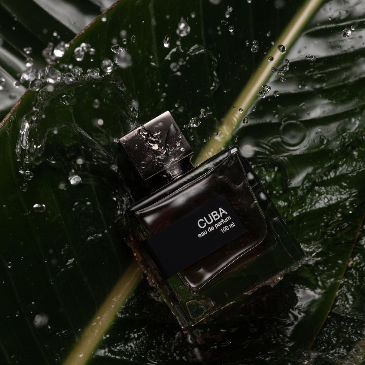 عطر ادکلن کیوبا اکسترکت - Cuba Extract - بررسی، قیمت و خرید