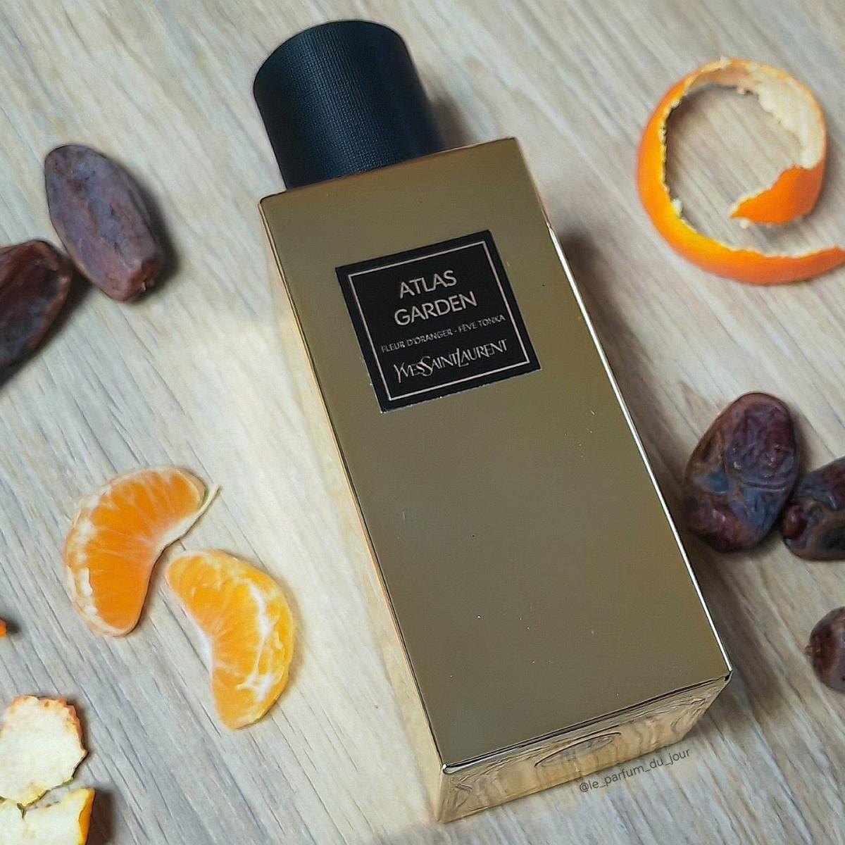 عطر ادکلن اطلس گاردن ایو سن لوران - Atlas Garden Yves Saint Laurent - بررسی، قیمت و خرید