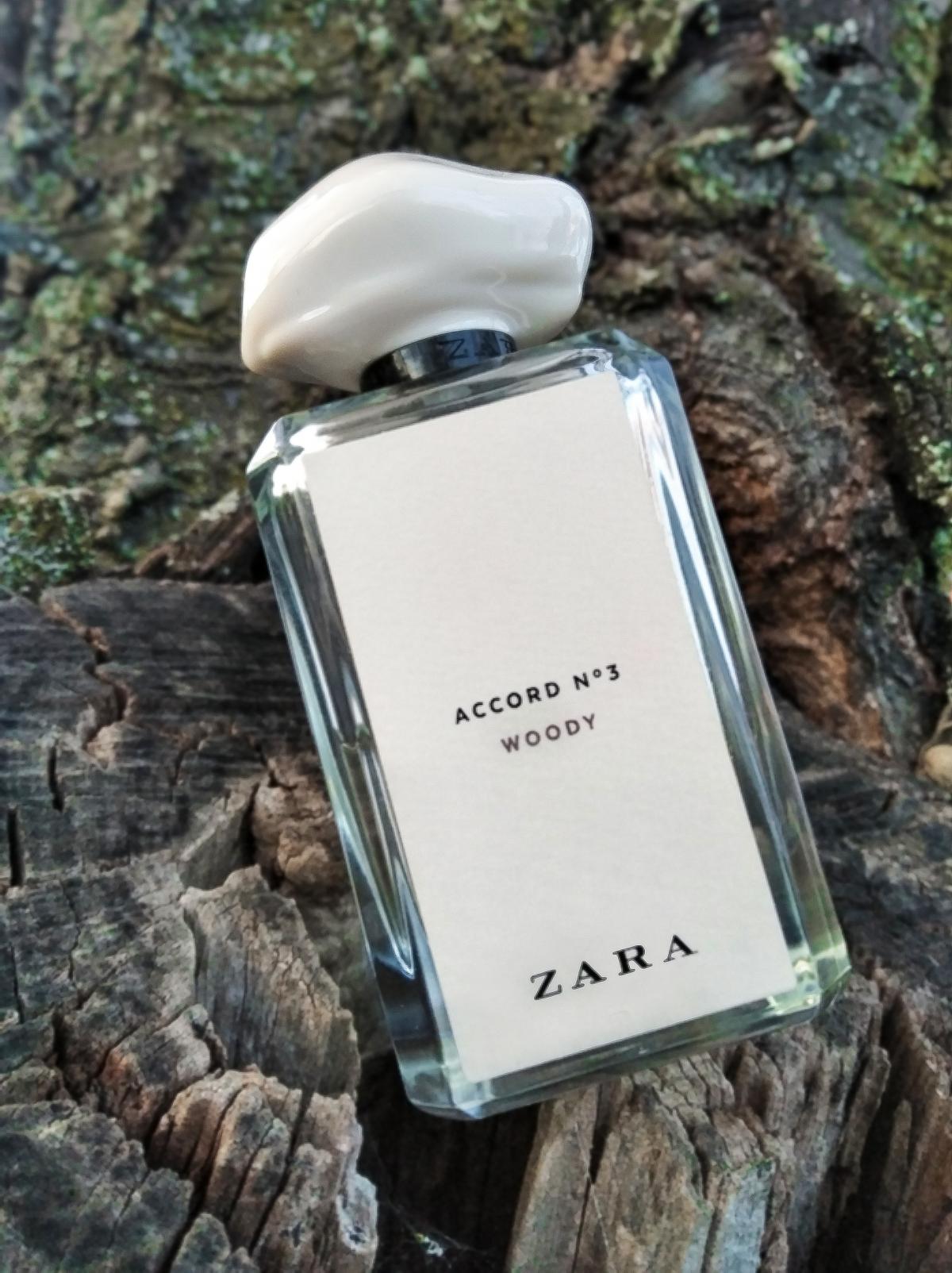 عطر ادکلن اکورد نامبر تری وودی زارا - Accord No 3 Woody Zara - بررسی، قیمت و خرید