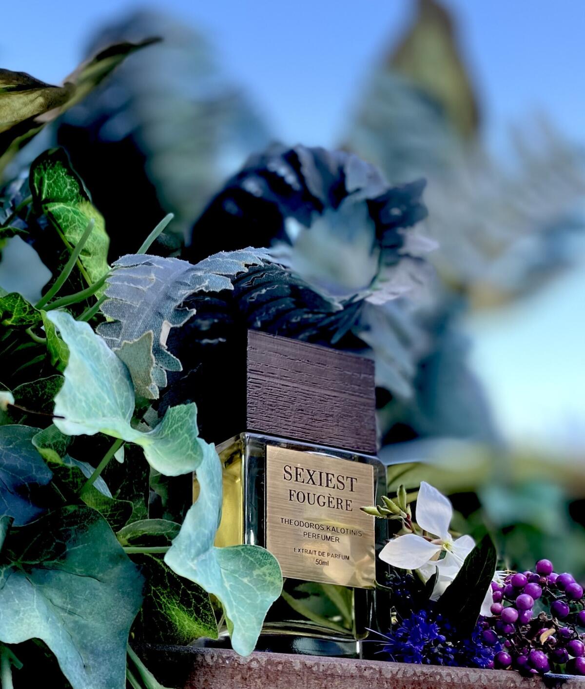 عطر ادکلن سکسیست فوجر تئودوروس کالوتینیوس - Sexiest Fougere Theodoros Kalotinis - بررسی، قیمت و خرید