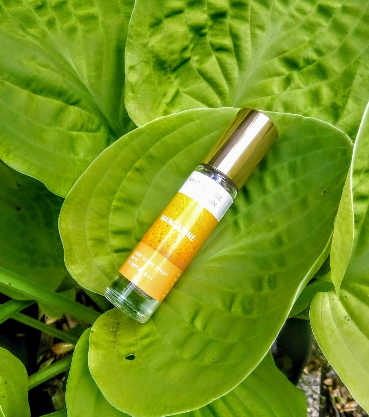 عطر ادکلن مندارین شِی اند بلو لندن - Mandarine Shay & Blue London - بررسی، قیمت و خرید