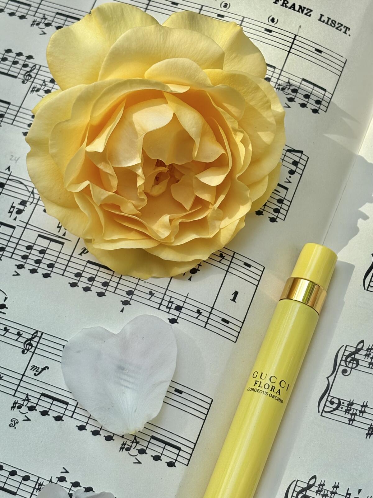عطر ادکلن فلورا گورجس ارکید گوچی - Flora Gorgeous Orchid Gucci - بررسی، قیمت و خرید
