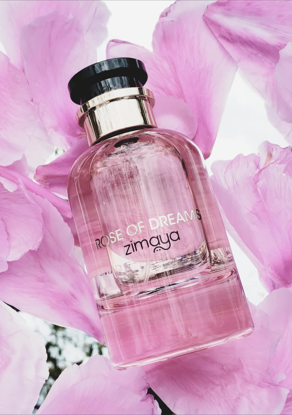 عطر ادکلن رُز آو دریمز زیمایا - Rose of Dreams Zimaya - بررسی، قیمت و خرید