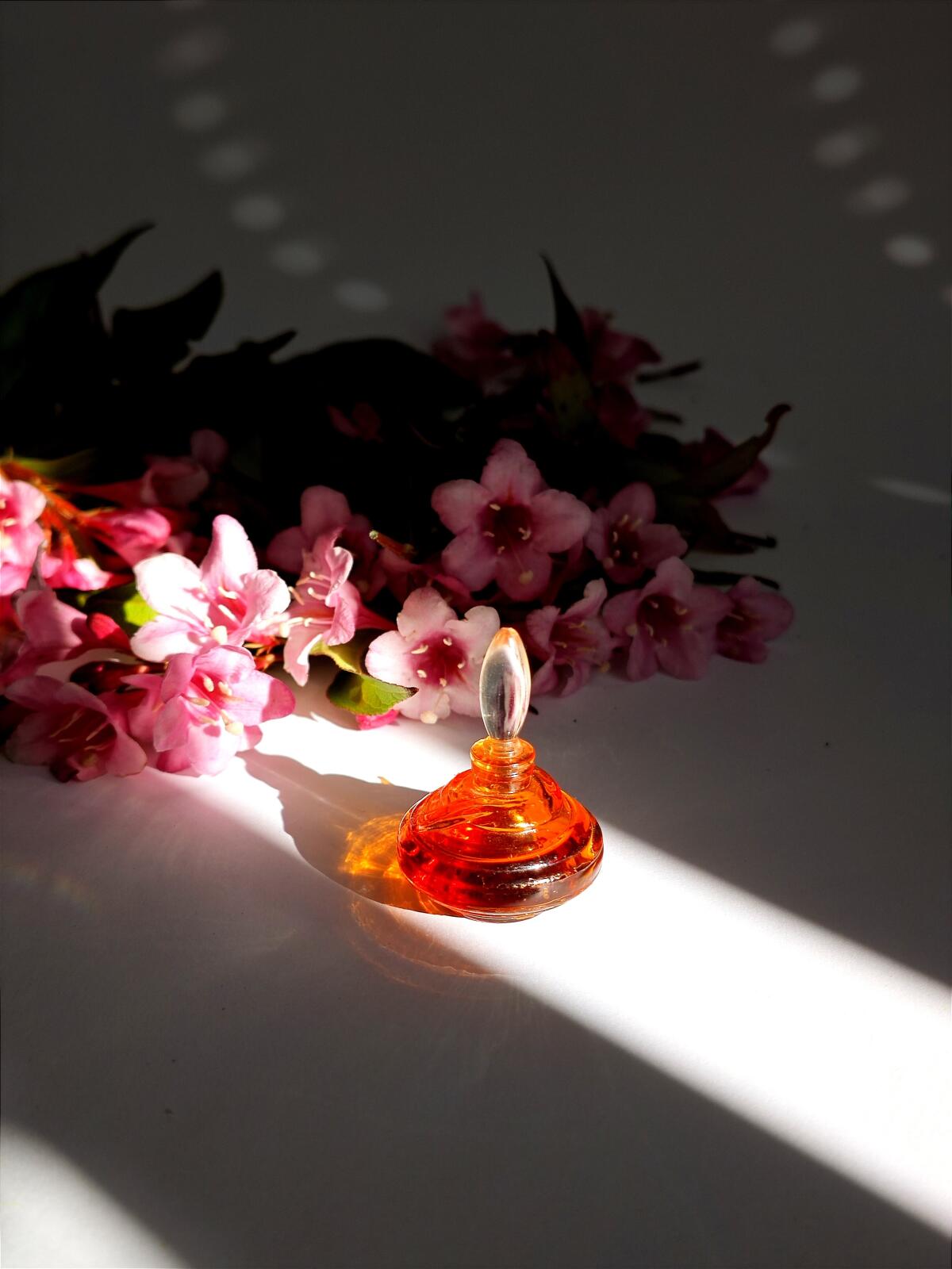 عطر ادکلن فنتسم تد لاپیدوس - Fantasme Ted Lapidus - بررسی، قیمت و خرید