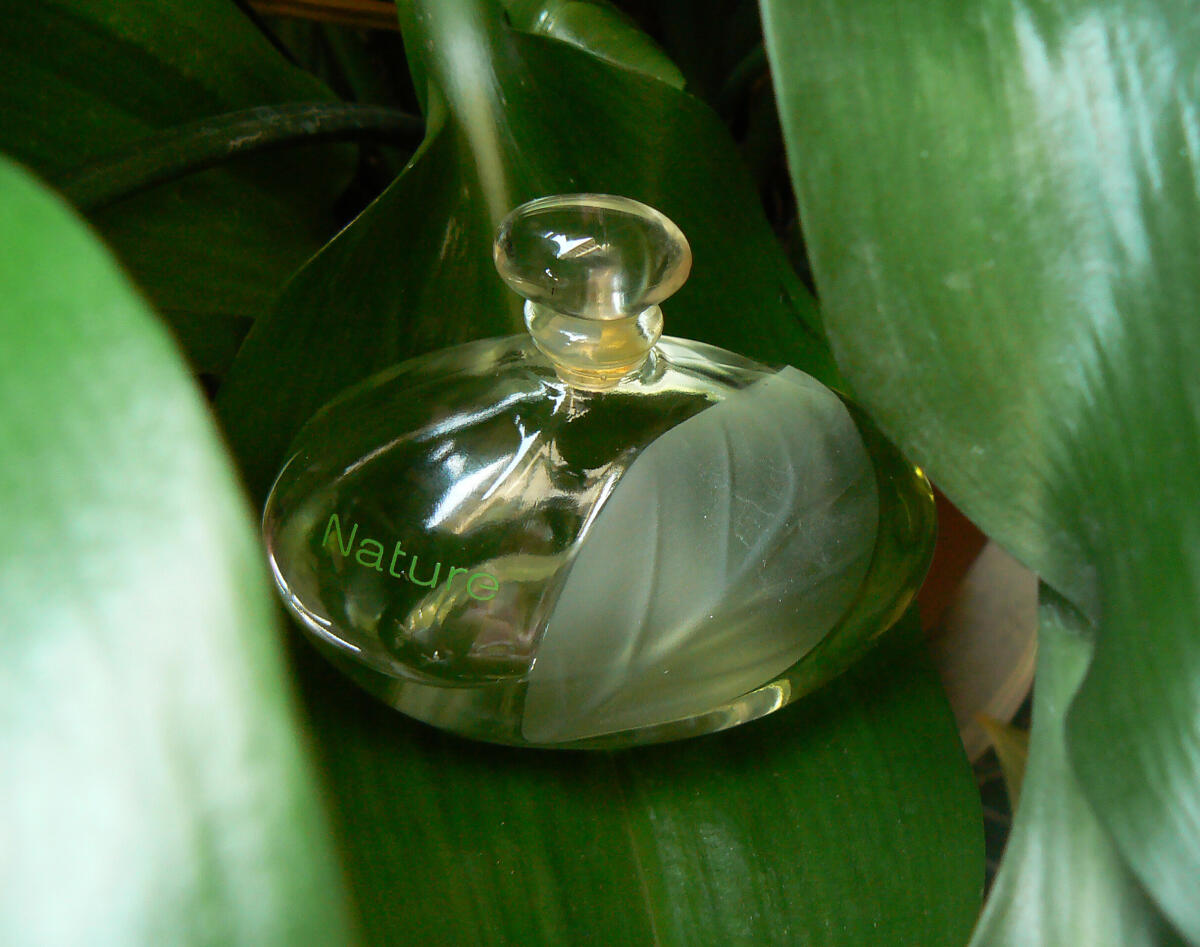 عطر ادکلن نیچر ایو روشه - Nature Yves Rocher - بررسی، قیمت و خرید