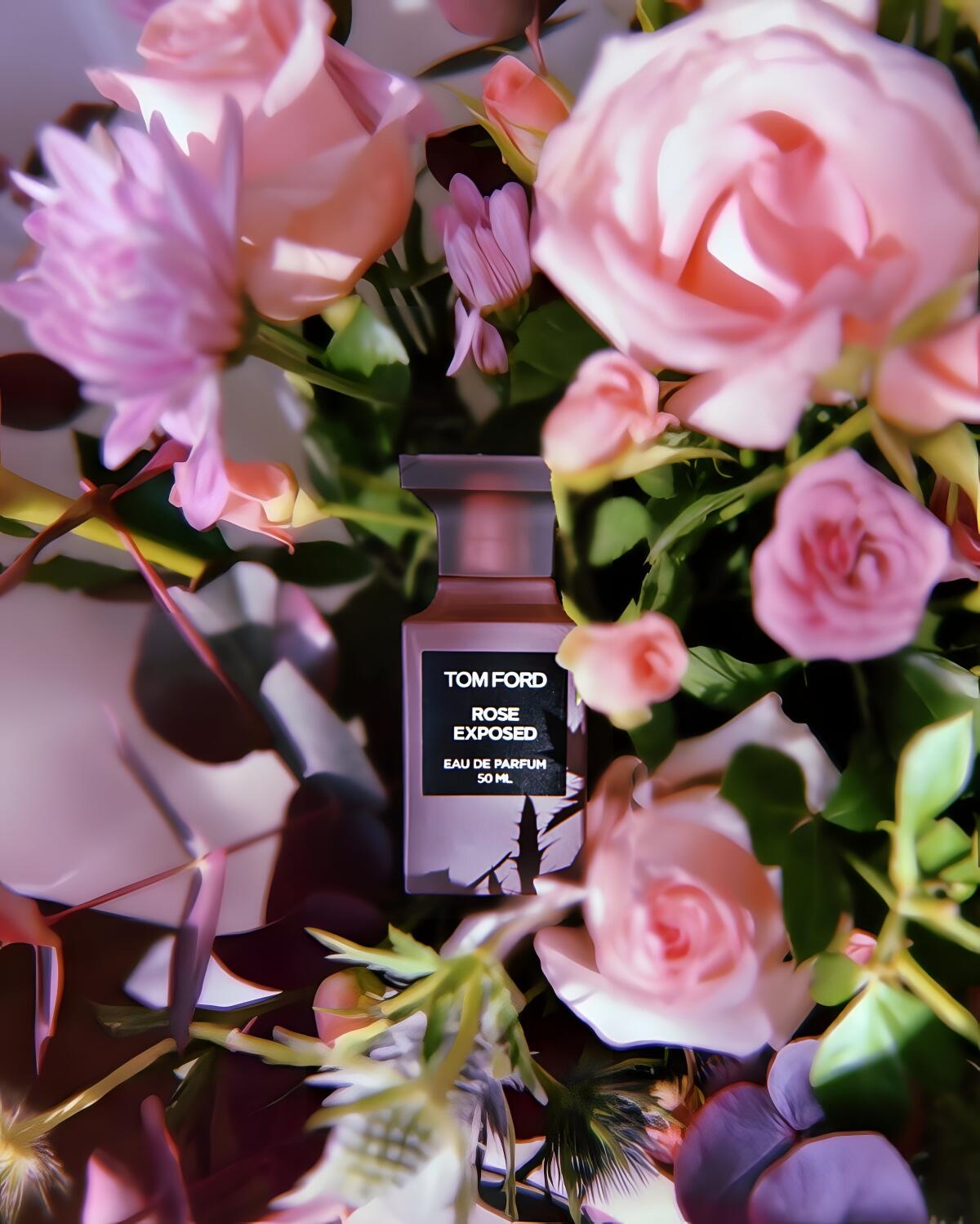 عطر ادکلن رز اکسپوزد تام فورد - Rose Exposed Tom Ford - بررسی، قیمت و خرید