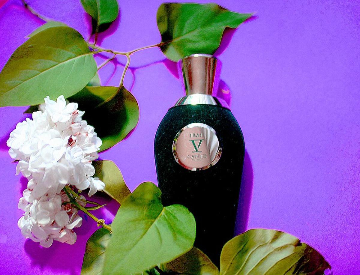 عطر ادکلن ایری وی کانتو - Irae V Canto - بررسی، قیمت و خرید