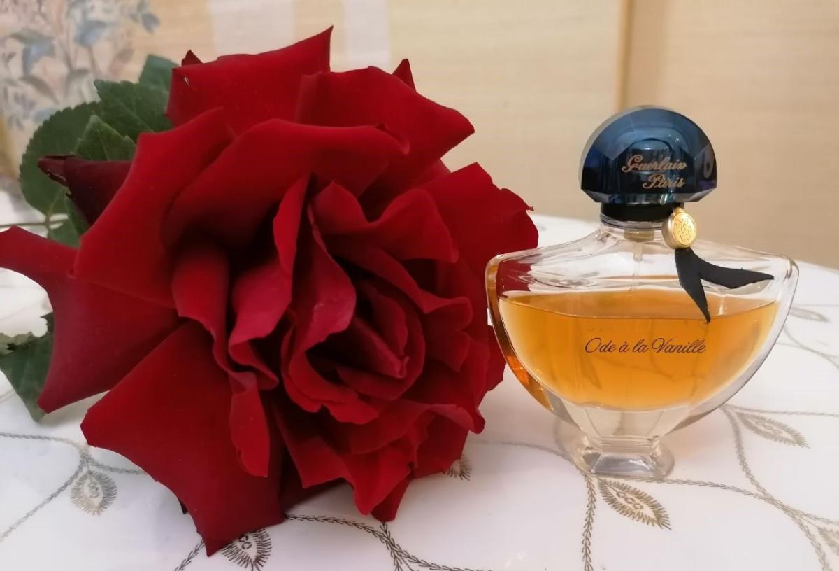عطر ادکلن شالیمار اود وانیل سور لا روت دو ماداگاسکار گرلن - Shalimar Ode a la Vanille Sur la route de Madagascar Guerlain - بررسی، قیمت و خرید