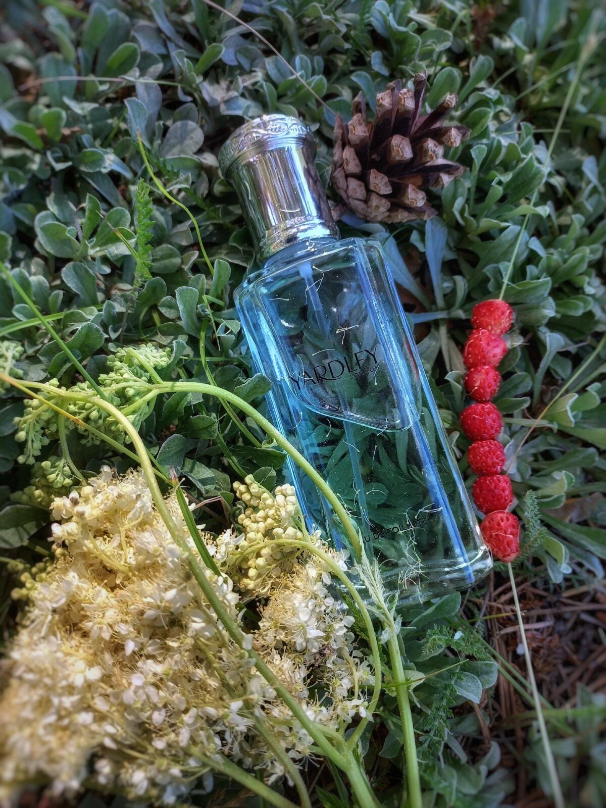 عطر ادکلن اینگلیش بلو بل کانتمپرری ادیشن یاردلی - English Bluebell Contemporary Edition Yardley - بررسی، قیمت و خرید