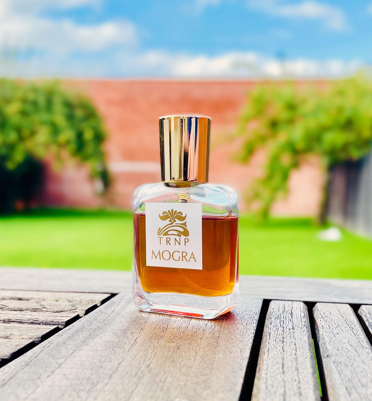 عطر ادکلن موگرا ترانپ - Mogra TRNP - بررسی، قیمت و خرید