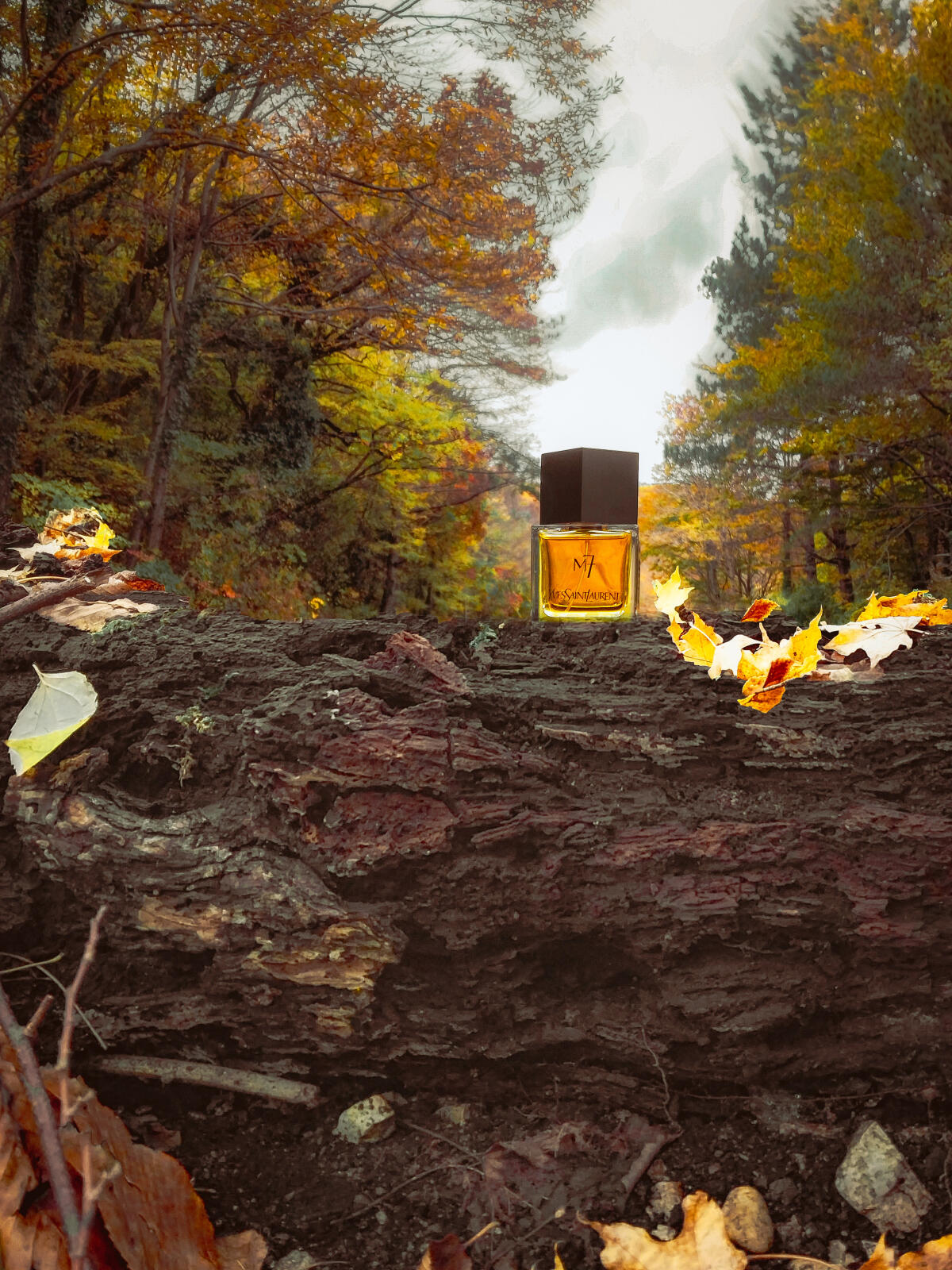عطر ادکلن ام هفت ایو سن لورن - M7 Yves Saint Laurent - بررسی، قیمت و خرید