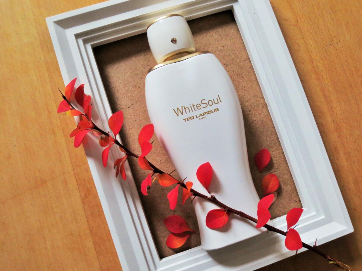 عطر ادکلن وایت سول تد لاپیدوس - White Soul Ted Lapidus - بررسی، قیمت و خرید