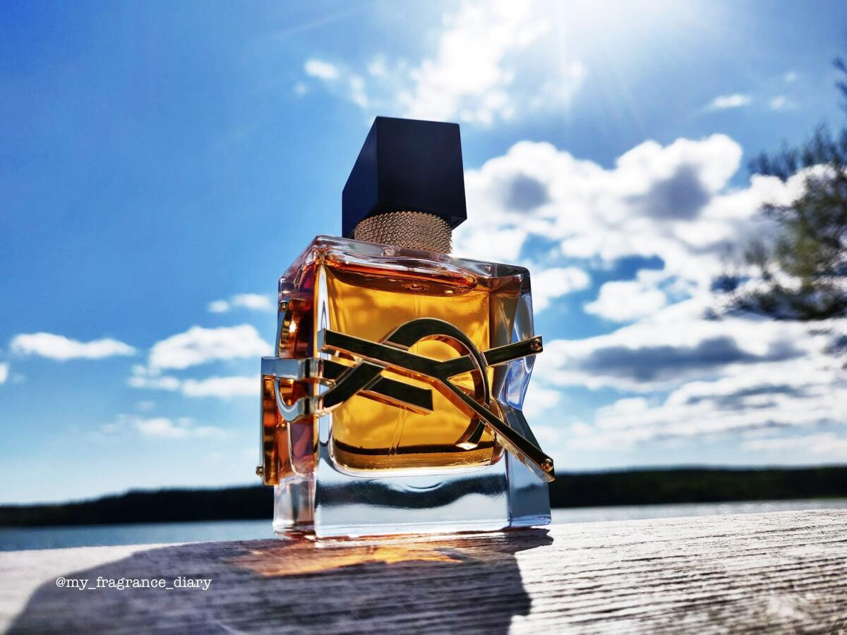 عطر ادکلن لیبره اینتنس ایو سن لوران - Libre Intense Yves Saint Laurent - بررسی، قیمت و خرید