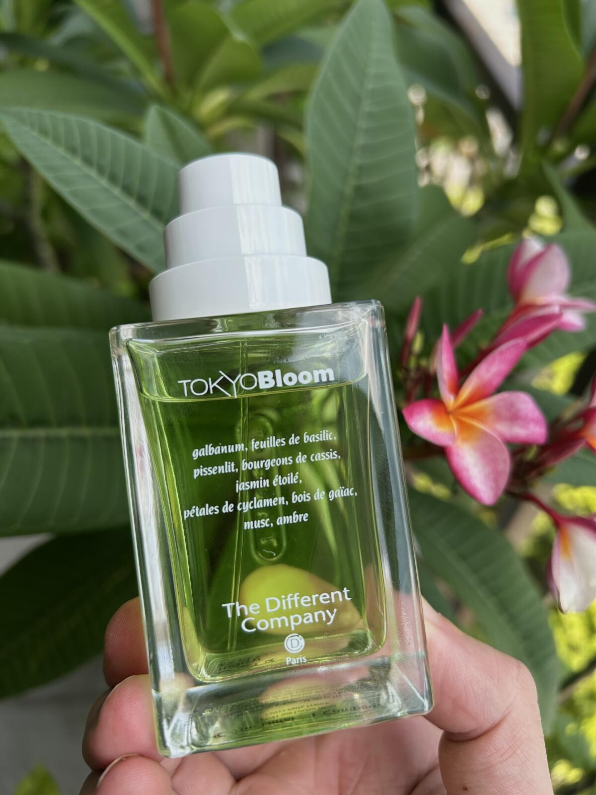 عطر ادکلن توکیو بلوم د دفرنت کامپنی - Tokyo Bloom The Different Company - بررسی، قیمت و خرید