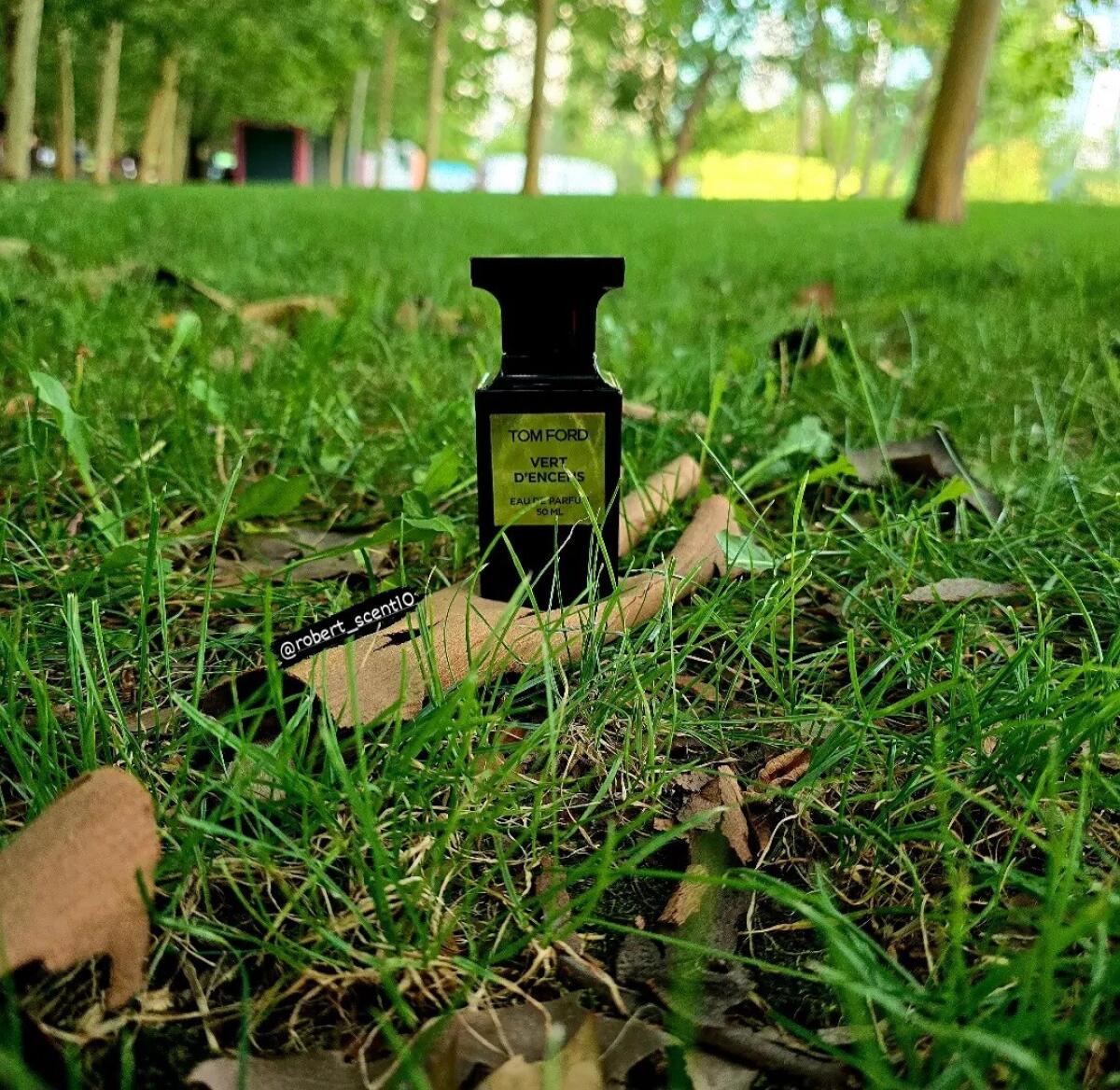 عطر ادکلن ورت دنس تام فورد - Vert d'Encens Tom Ford - بررسی، قیمت و خرید