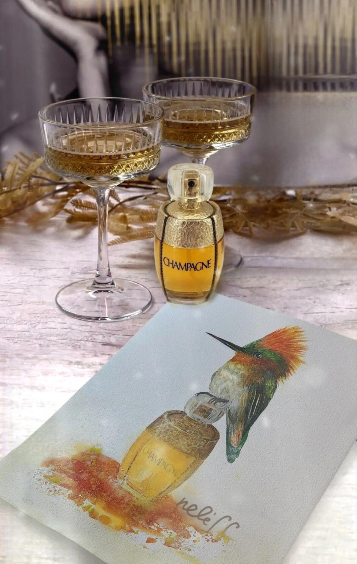 عطر ادکلن یوورس ایو سن لورن - Yvresse (Champagne) Yves Saint Laurent - بررسی، قیمت و خرید