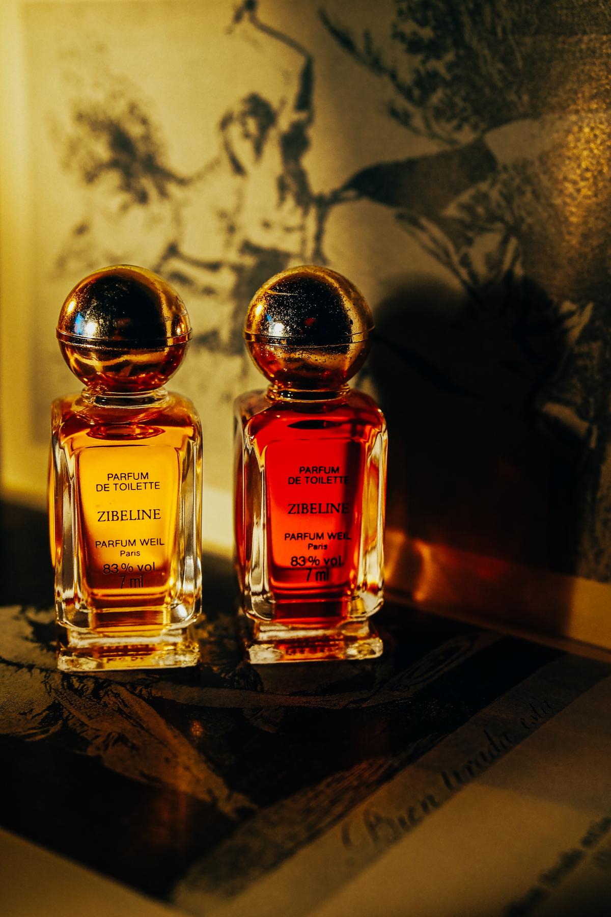 عطر ادکلن زیبلین ویل - Zibeline Weil - بررسی، قیمت و خرید