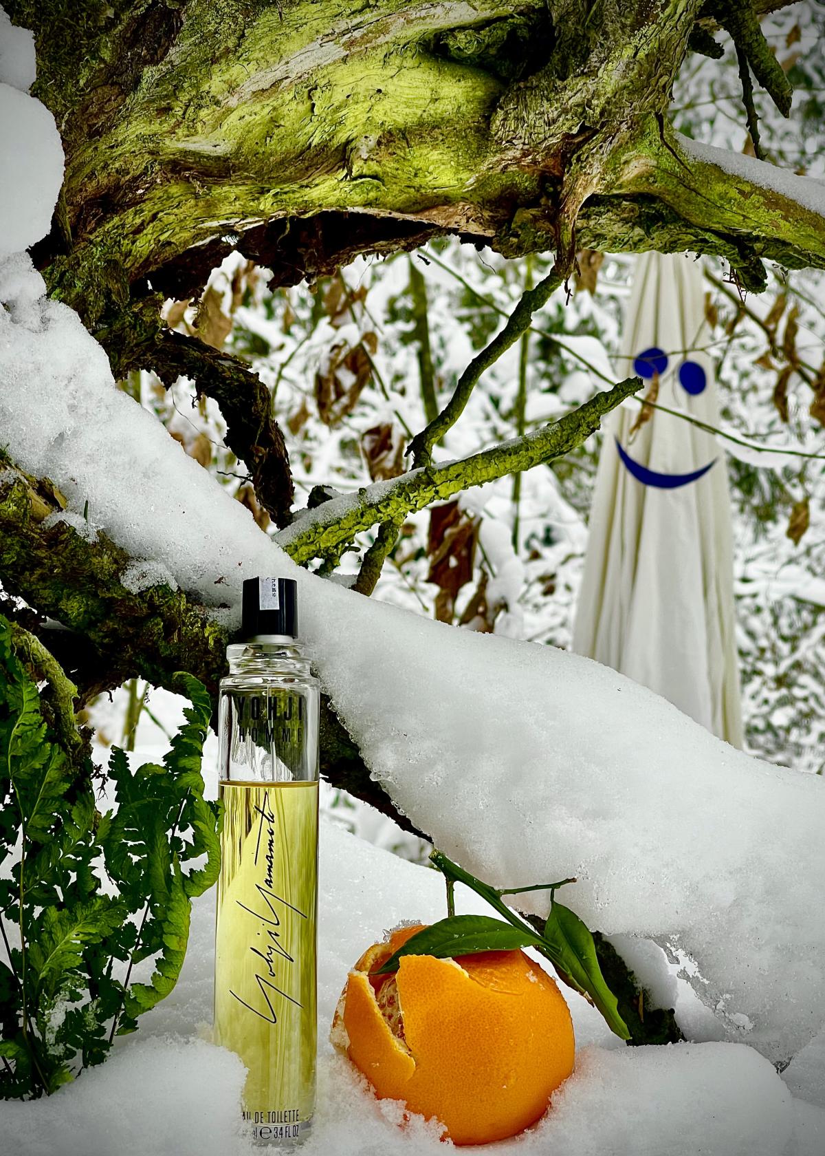 عطر ادکلن یوجی اوم یوجی یاماموتو - Yohji Homme Yohji Yamamoto - بررسی، قیمت و خرید