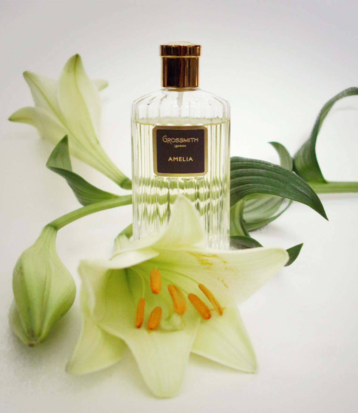 عطر ادکلن آملیا گروس‌میت - Amelia Grossmith - بررسی، قیمت و خرید