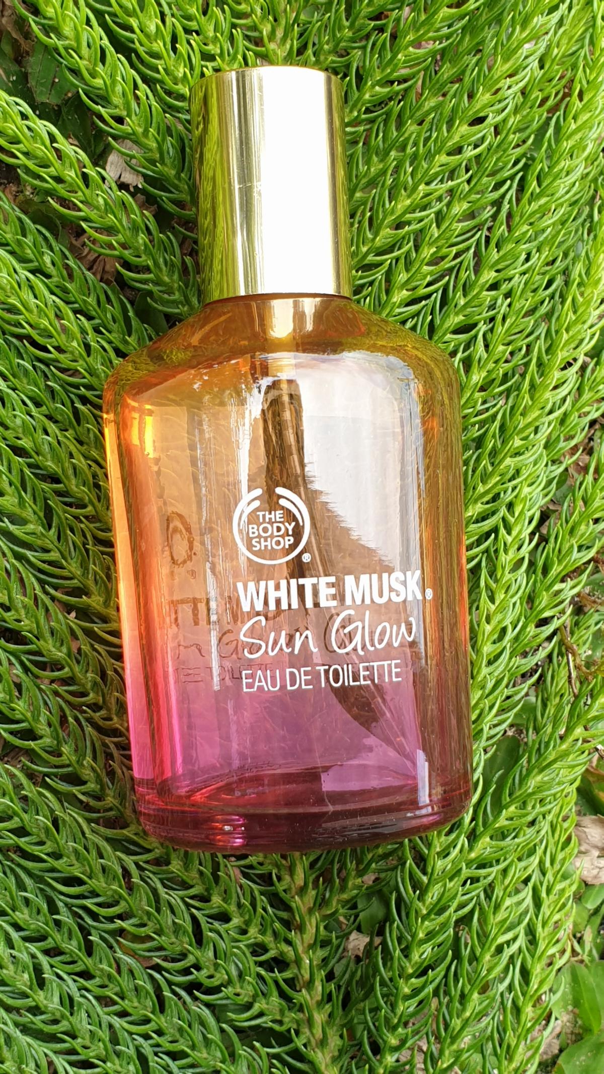 عطر ادکلن وایت ماسک سان گلو د بادی شاپ - White Musk® Sun Glow The Body Shop - بررسی، قیمت و خرید