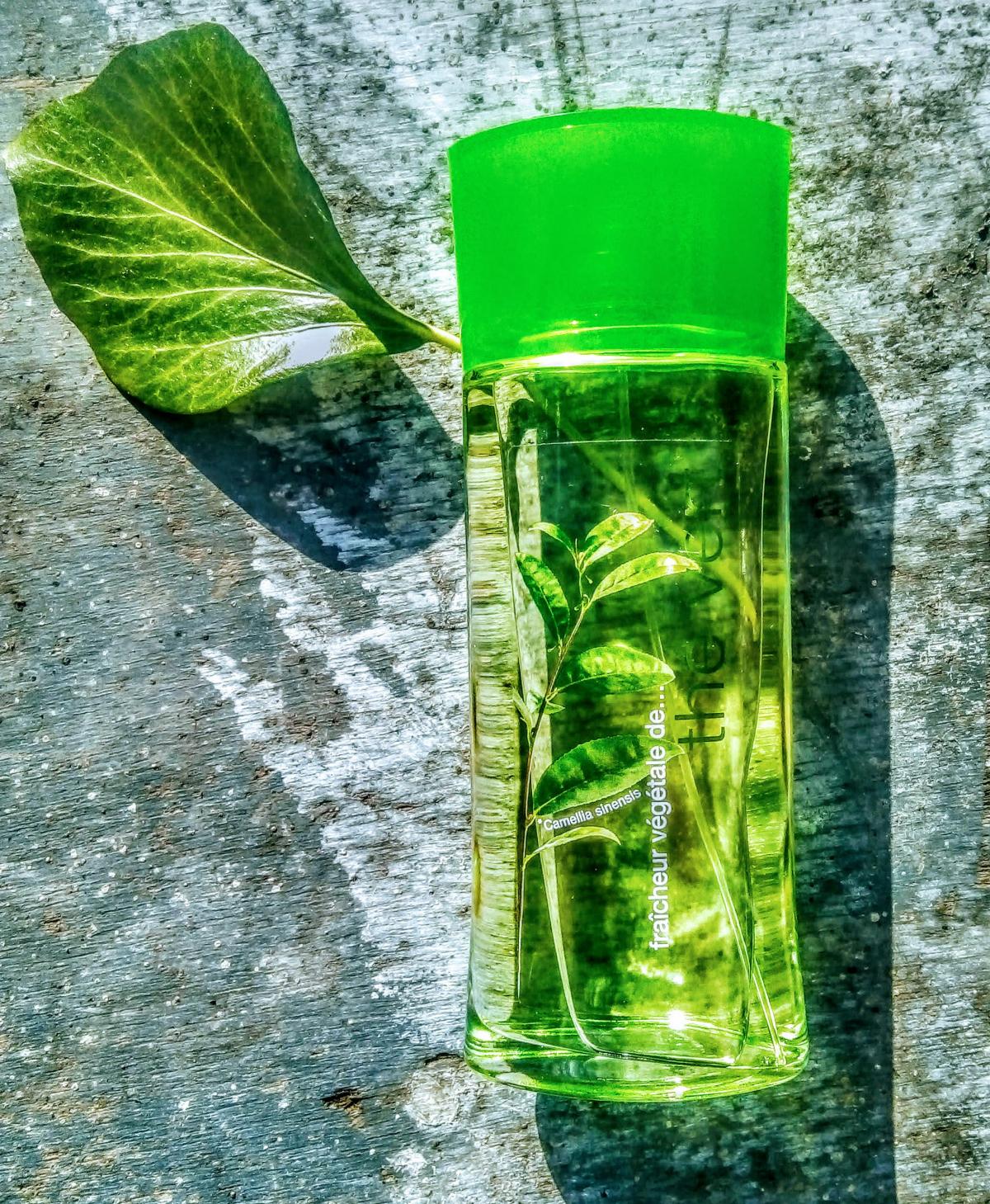 عطر ادکلن فریشور وگتال ته ورت ایو روشه - Fraicheur Vegetale The Vert Yves Rocher - بررسی، قیمت و خرید