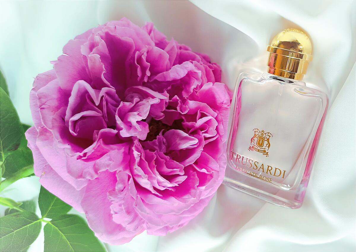 عطر ادکلن ترساردی دلیکیت رز تروساردی - Trussardi Delicate Rose Trussardi - بررسی، قیمت و خرید