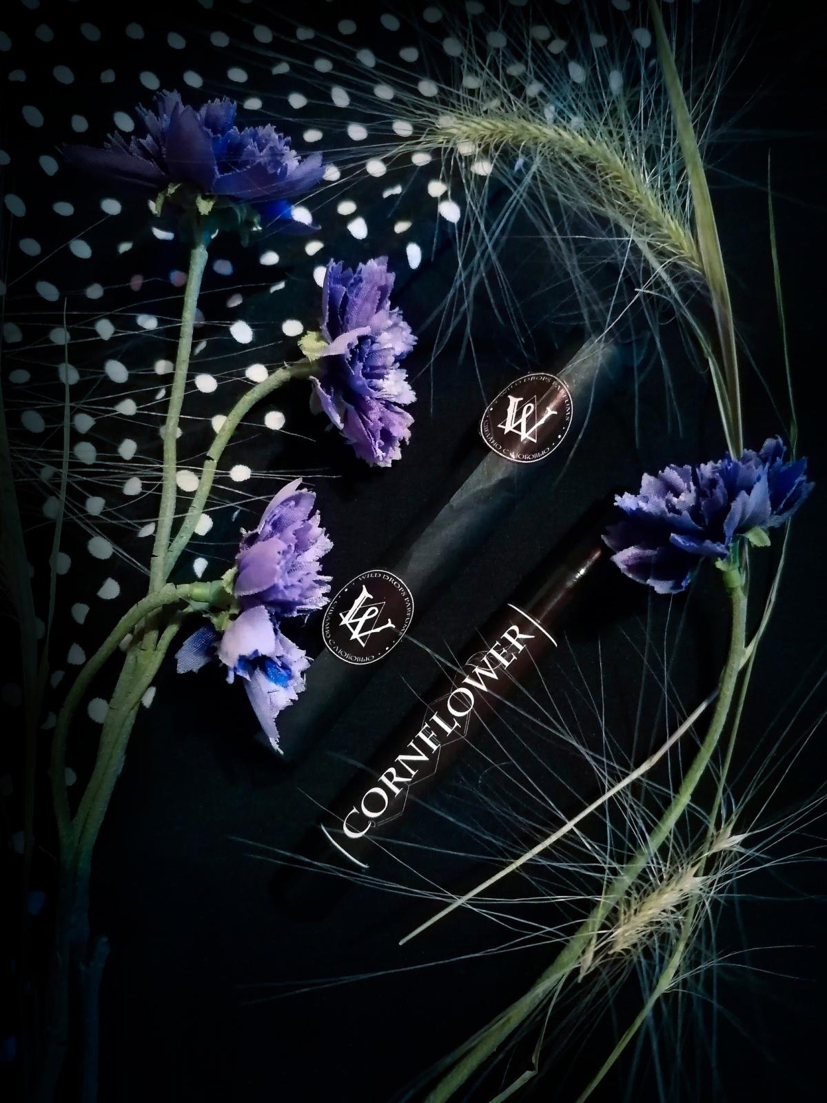 عطر ادکلن کُرن‌فلاور وایلد دراپز پارفومز - Cornflower Wild Drops Parfums - بررسی، قیمت و خرید
