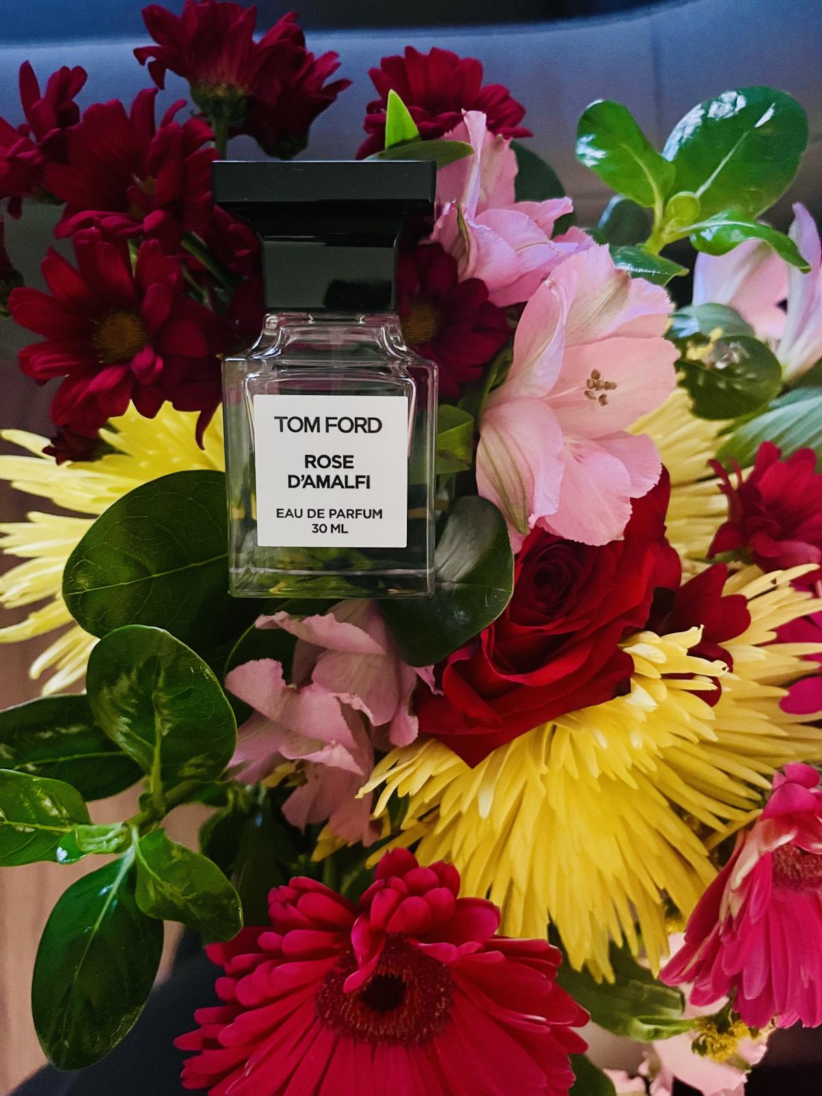 عطر ادکلن رز د آمالفی تام فورد - Rose D'Amalfi Tom Ford - بررسی، قیمت و خرید
