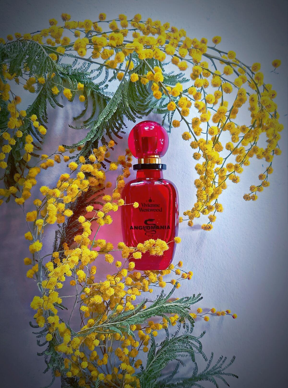 عطر ادکلن انگلومانیا ویوین وست‌وود - Anglomania Vivienne Westwood - بررسی، قیمت و خرید