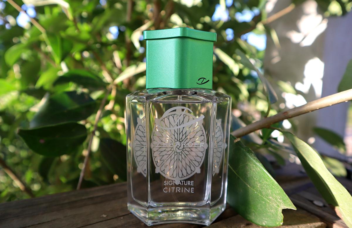 عطر ادکلن سیگنیچر سیترین زاروف - Signature Citrine Zaharoff - بررسی، قیمت و خرید