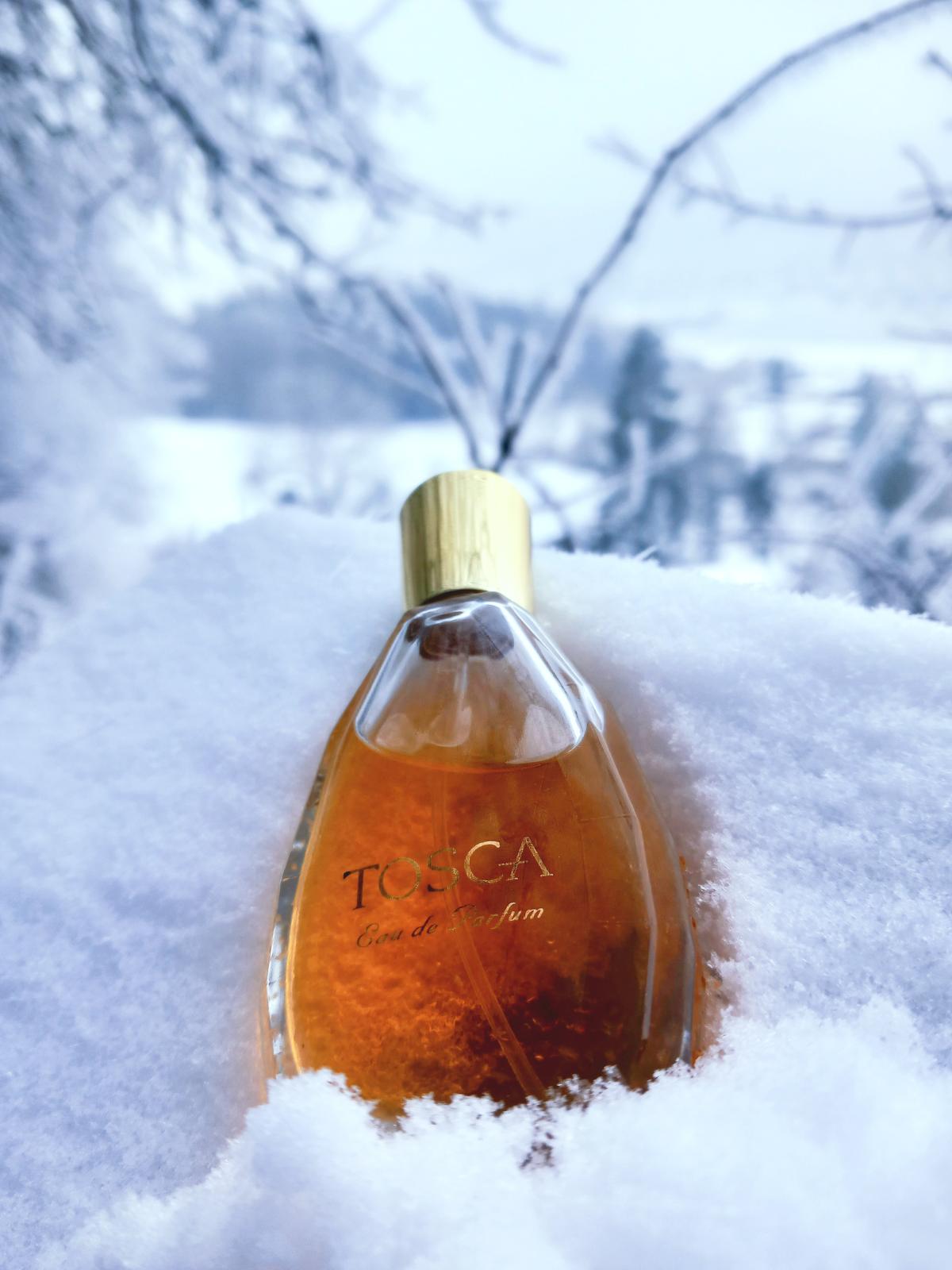 عطر ادکلن توسکا توسکا - Tosca Tosca - بررسی، قیمت و خرید