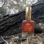 عطر ادکلن هوم فور د هالیدیز هپی‌لند - Homme for the Holidays Happyland - بررسی، قیمت و خرید