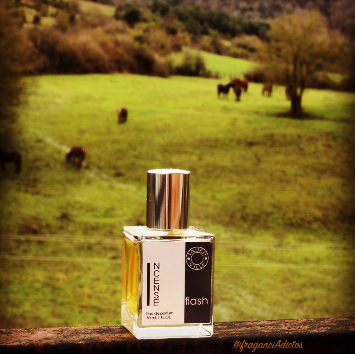 عطر ادکلن این سنتز فِلَش تاورویل - Incense Flash Tauerville - بررسی، قیمت و خرید