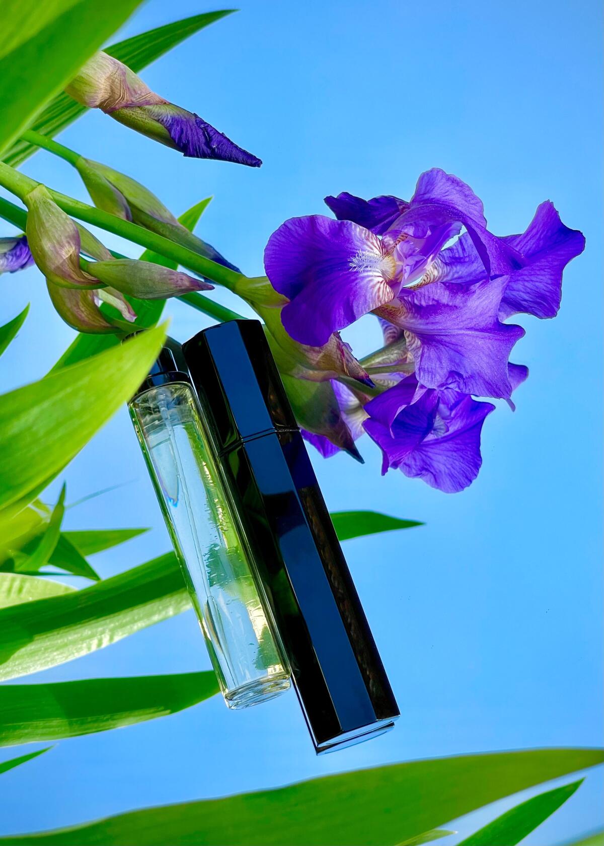 عطر ادکلن آیریس سیلور میست سرژ لوتنس - Iris Silver Mist Serge Lutens - بررسی، قیمت و خرید