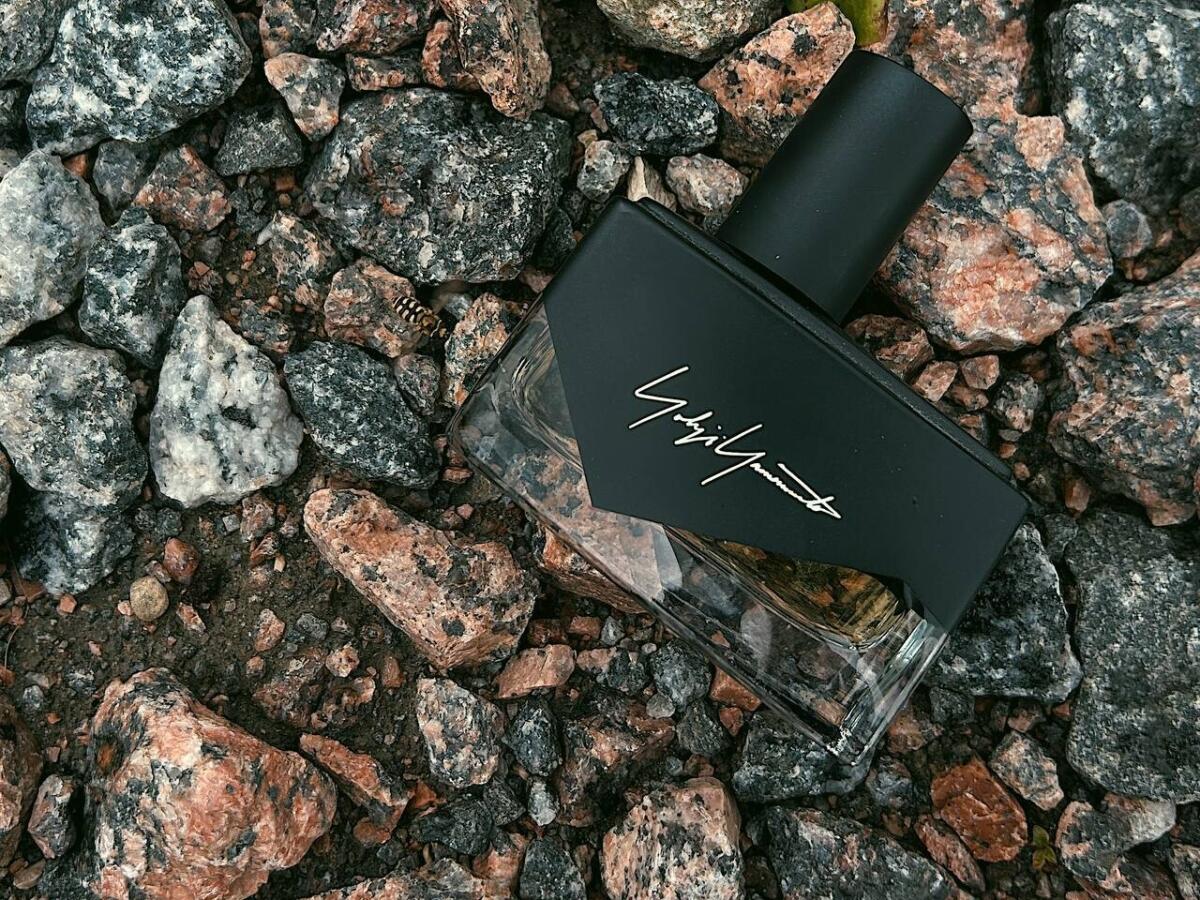 عطر ادکلن آیم نات گوئینگ تو دیستورب یو فم یوجی یاماموتو - I'm Not Going to Disturb You Femme Yohji Yamamoto - بررسی، قیمت و خرید