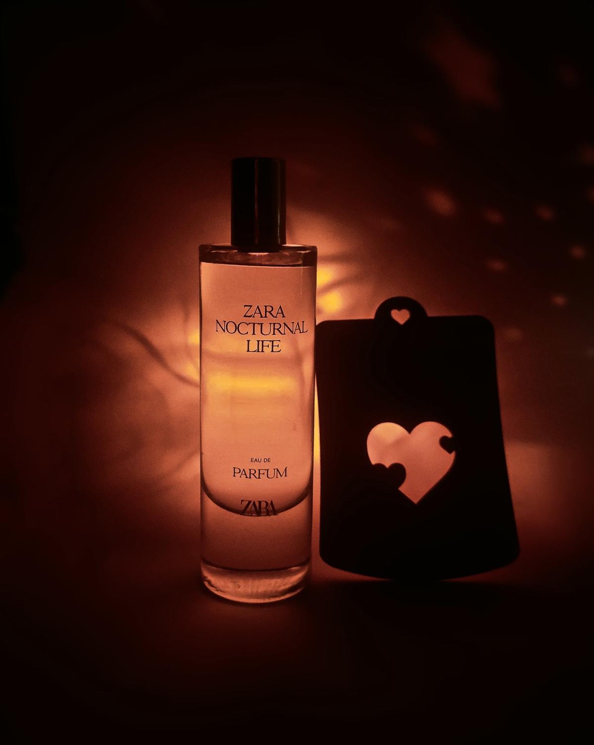 عطر ادکلن ناکترنال لایف زارا - Nocturnal Life Zara - بررسی، قیمت و خرید
