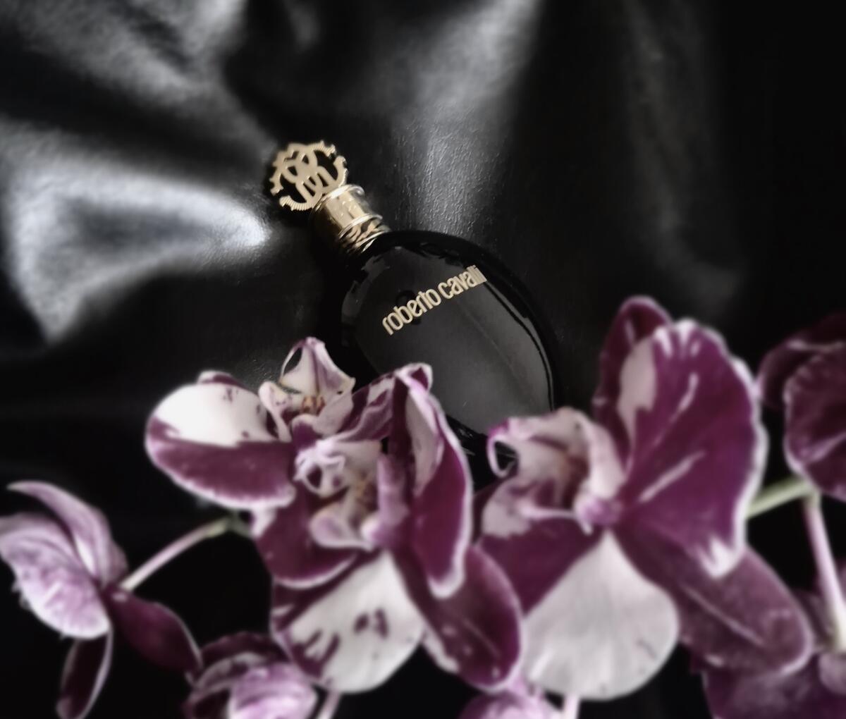 عطر ادکلن رابرتو کاوالی نرو اسولوتو روبرتو کاوالی - Roberto Cavalli Nero Assoluto Roberto Cavalli - بررسی، قیمت و خرید