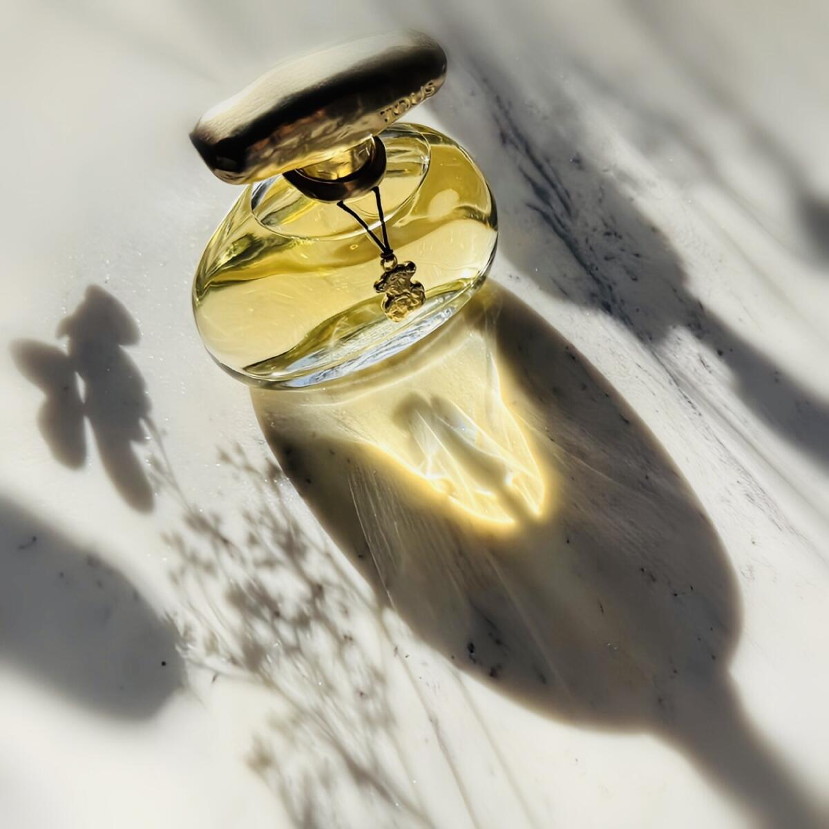عطر ادکلن تاچ توس - Touch Tous - بررسی، قیمت و خرید