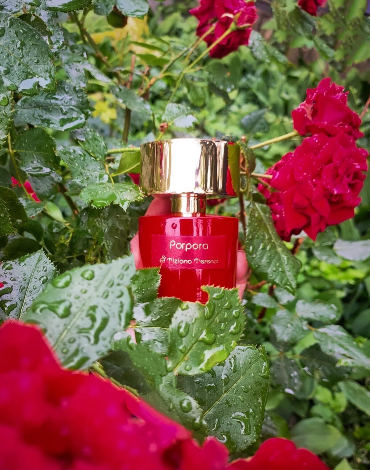 عطر ادکلن پورپورا تیزیانا ترنزی - Porpora Tiziana Terenzi - بررسی، قیمت و خرید