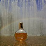 عطر ادکلن وندر بیلت گلودیا وندربیلت - Vanderbilt Gloria Vanderbilt - بررسی، قیمت و خرید