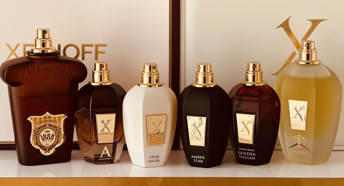 عطر ادکلن استار ماسک زرژاف - Star Musk Xerjoff - بررسی، قیمت و خرید
