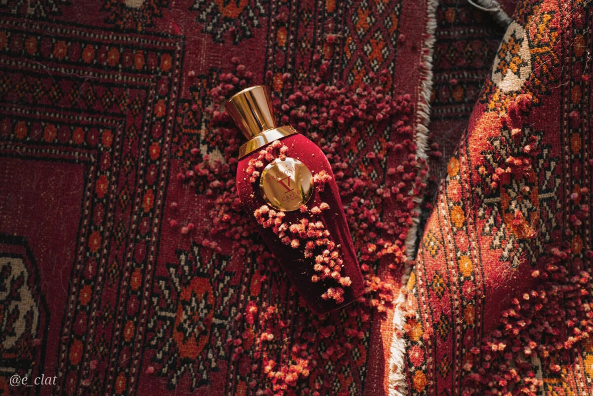عطر ادکلن استرامونیو وی کانتو - Stramonio V Canto - بررسی، قیمت و خرید