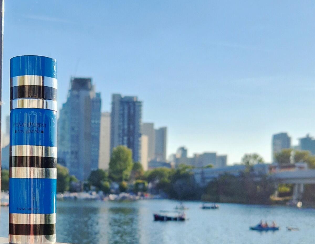 عطر ادکلن ریو گوش ایو سن لوران - Rive Gauche Yves Saint Laurent - بررسی، قیمت و خرید