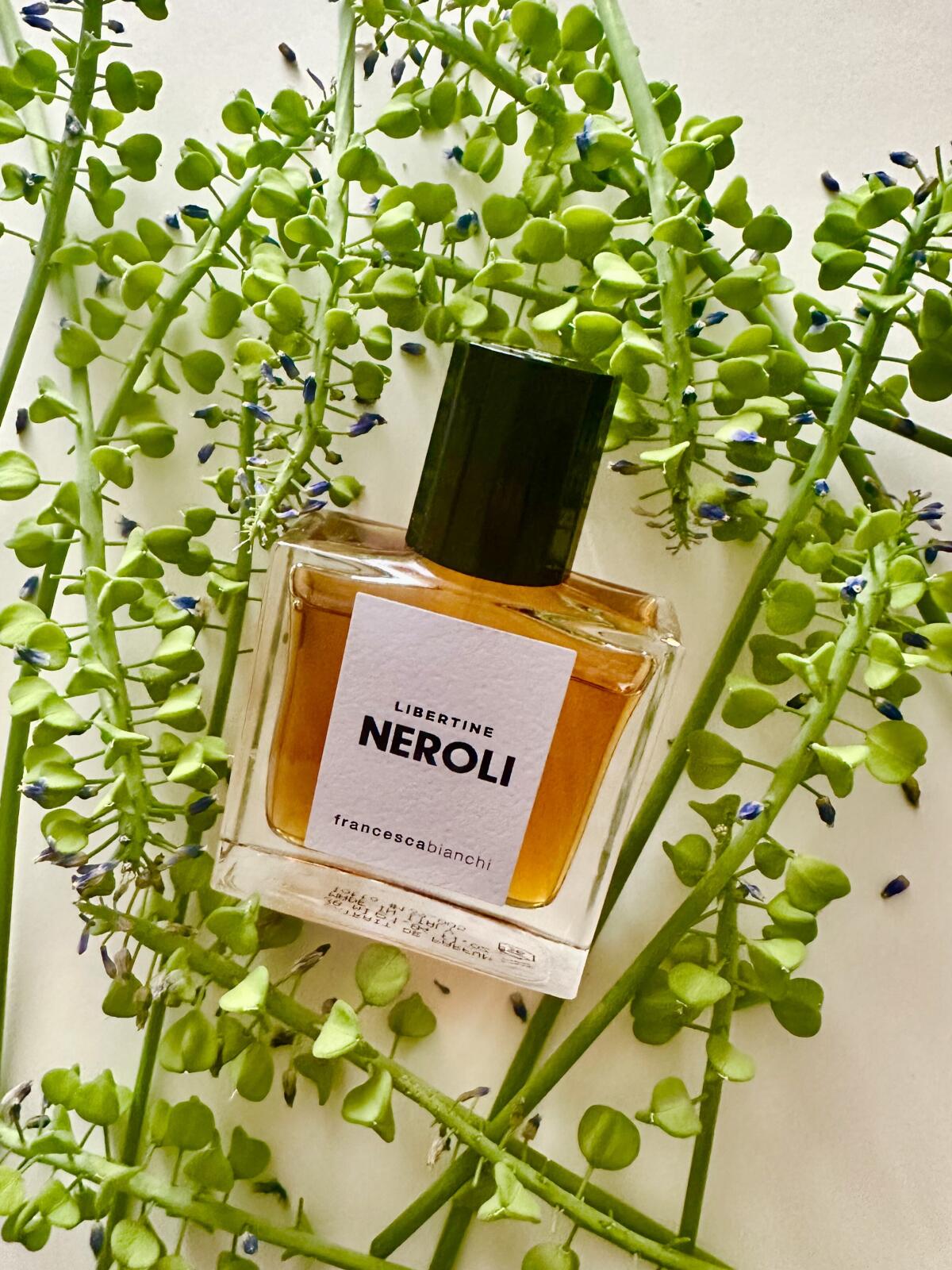 عطر ادکلن لیبرتین نرولی فرانچسکا بیانکی - Libertine Neroli Francesca Bianchi - بررسی، قیمت و خرید