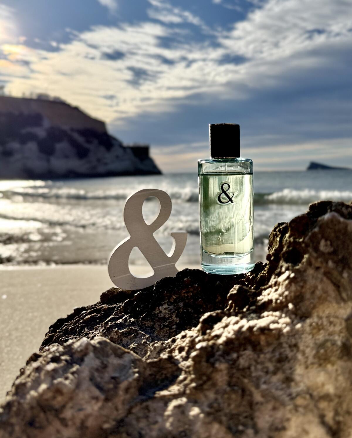 عطر ادکلن تیفانی اند لاو فور هیم تیفانی - Tiffany & Love For Him Tiffany - بررسی، قیمت و خرید
