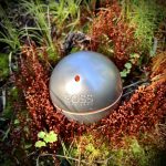 عطر ادکلن باس این موشن هوگو باس - Boss in Motion Hugo Boss - بررسی، قیمت و خرید