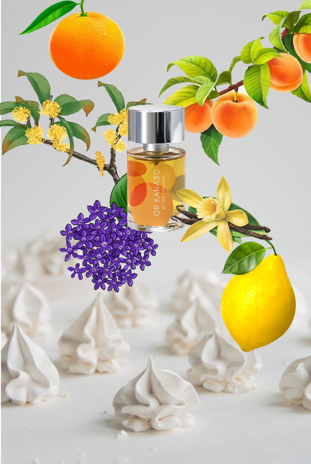 عطر ادکلن اور کانابو یورمی - OR ± Kanabo UERMI - بررسی، قیمت و خرید