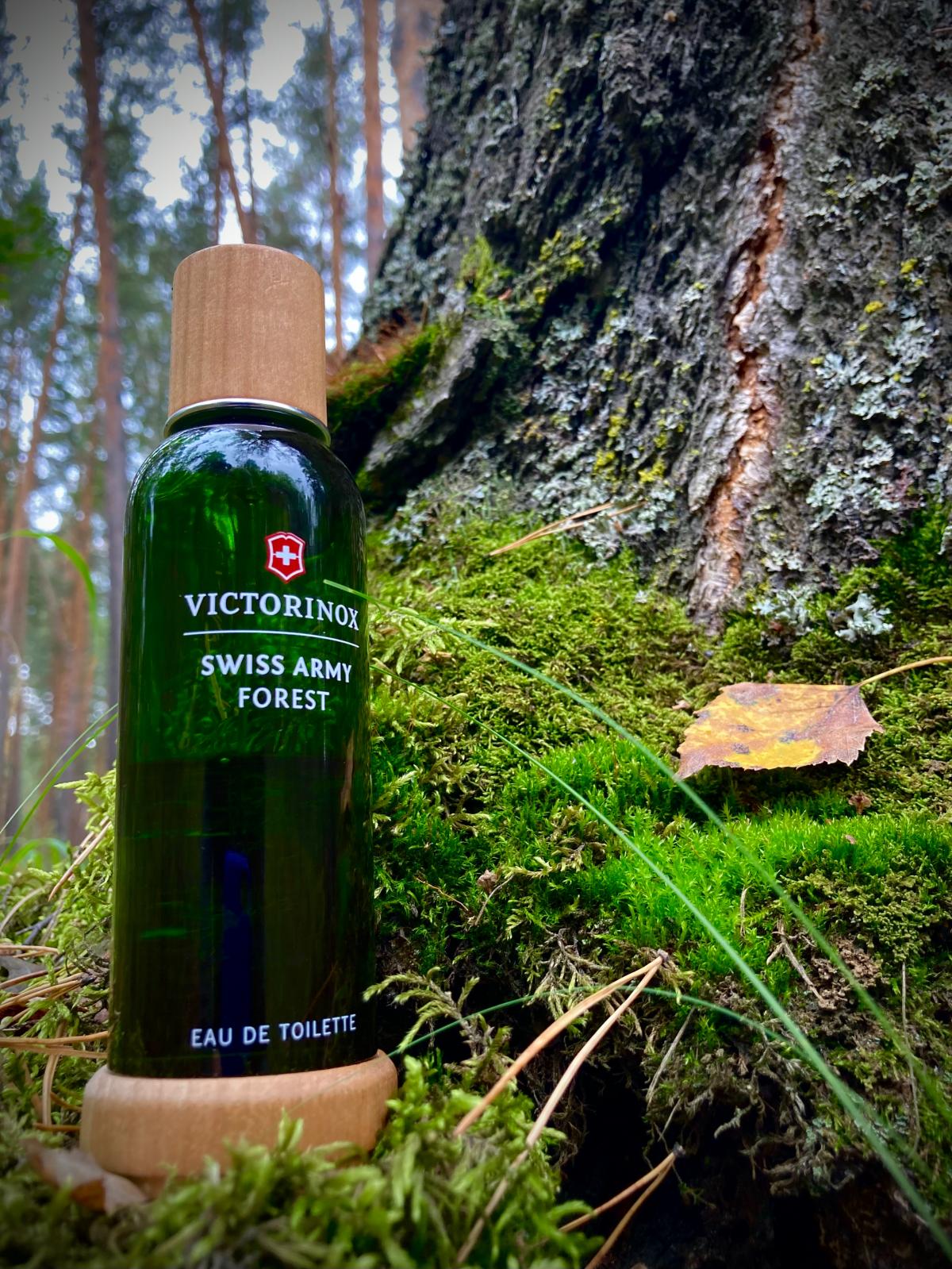 عطر ادکلن سوییس آرمی فورست ویکتورینوکس سوییس آرمی - Swiss Army Forest Victorinox Swiss Army - بررسی، قیمت و خرید